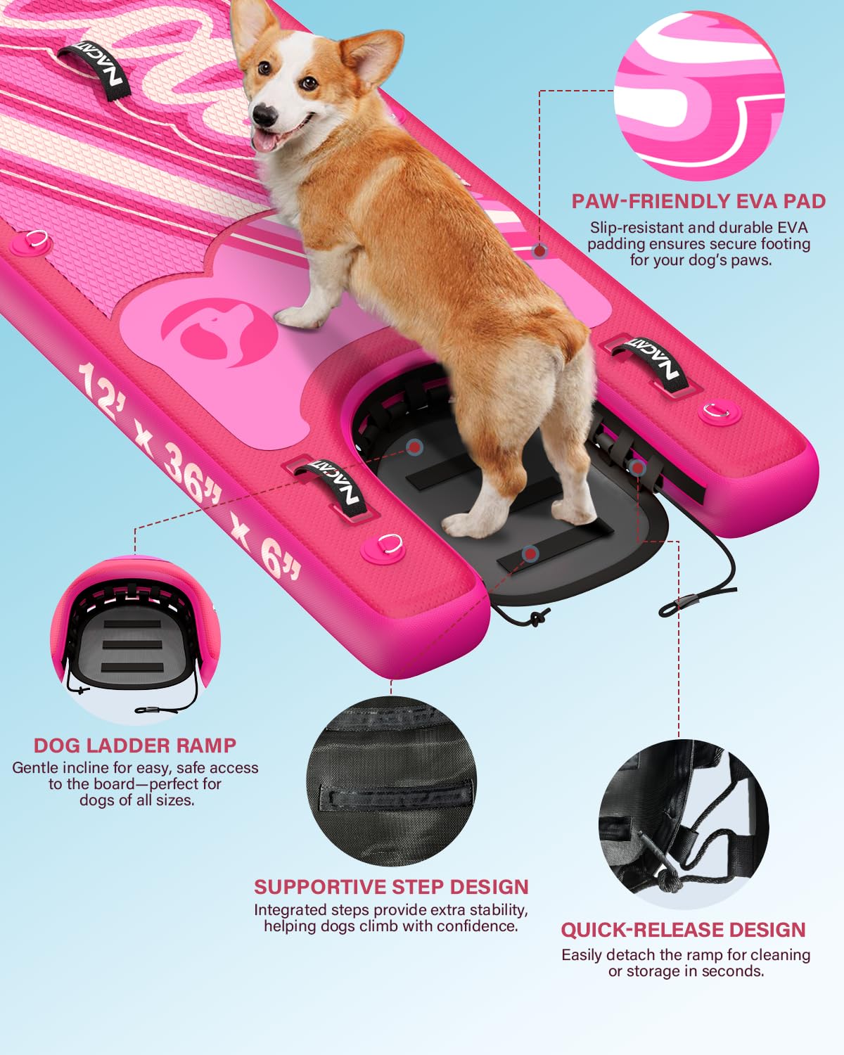 Inflatable Paddle Board Set with Dog Ramp Kit